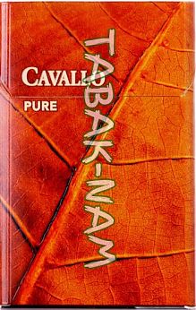 Cavallo pure